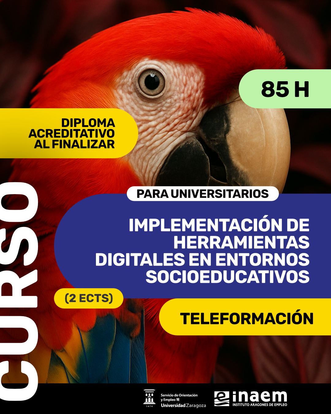 IMPLEMENTACIÓN DE HERRAMIENTAS DIGITALES EN ENTORNOS SOCIOEDUCATIVOS