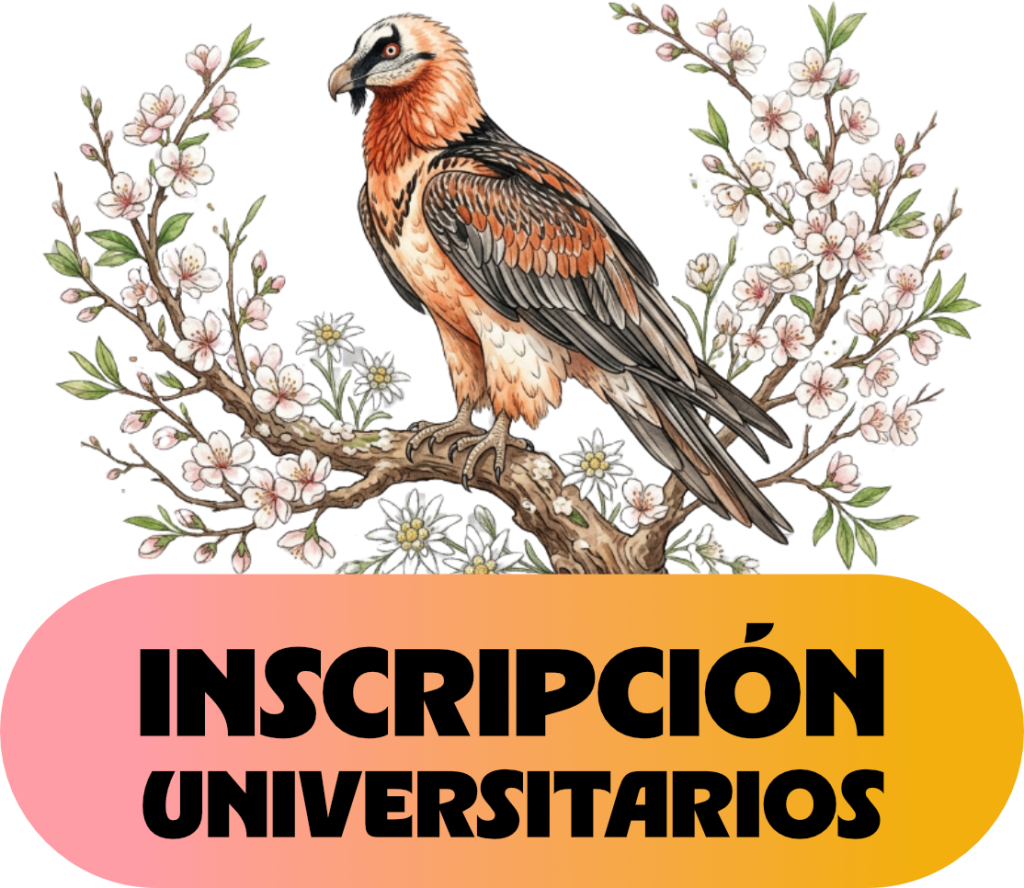 Inscripción universitarios Huesca 2026