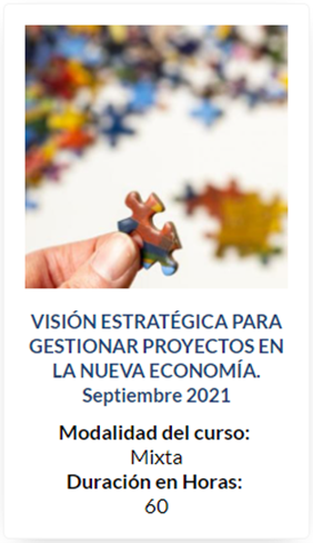 Curso Visión Estratégica para gestionar proyectos en la nueva economía
