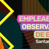 https://universa.unizar.es/observatorioempleo/becaobservatorioempleo