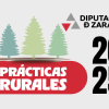 verano zaragoza