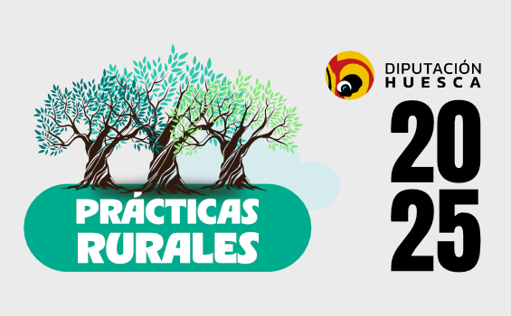 2025 HUESCA