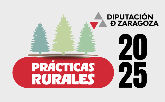 verano zaragoza